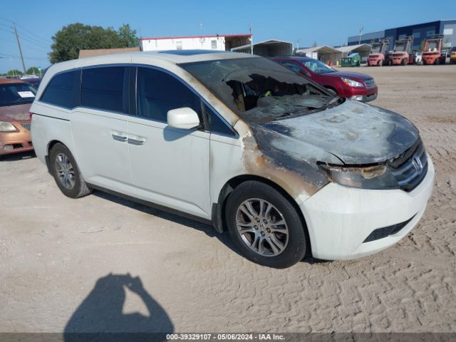 HONDA ODYSSEY 2013 5fnrl5h66db048176