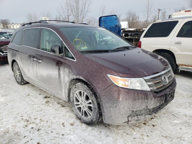 HONDA ODYSSEY EX 2013 5fnrl5h66db050395