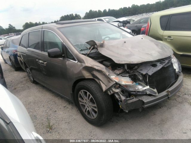 HONDA ODYSSEY 2013 5fnrl5h66db070162