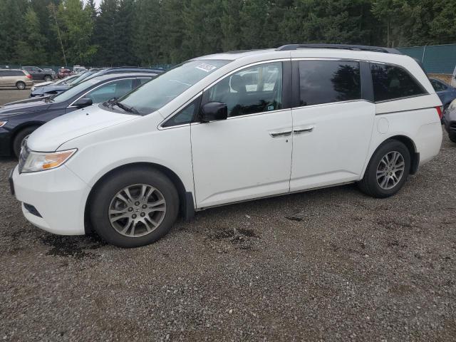 HONDA ODYSSEY EX 2013 5fnrl5h66db071036