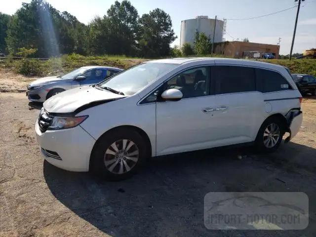 HONDA ODYSSEY 2016 5fnrl5h66gb057626