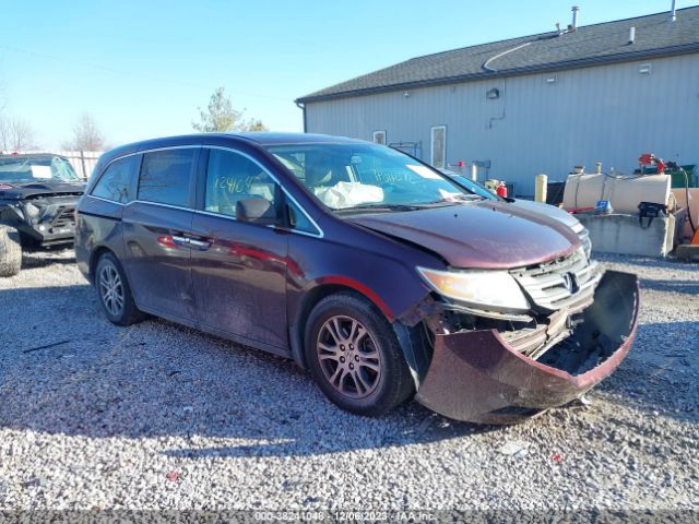 HONDA ODYSSEY 2011 5fnrl5h67bb045008