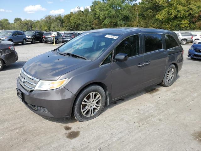 HONDA ODYSSEY EX 2012 5fnrl5h67cb044961