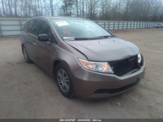 HONDA ODYSSEY 2013 5fnrl5h67db001366