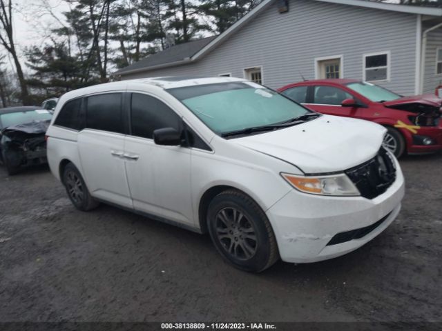 HONDA ODYSSEY 2013 5fnrl5h67db003599