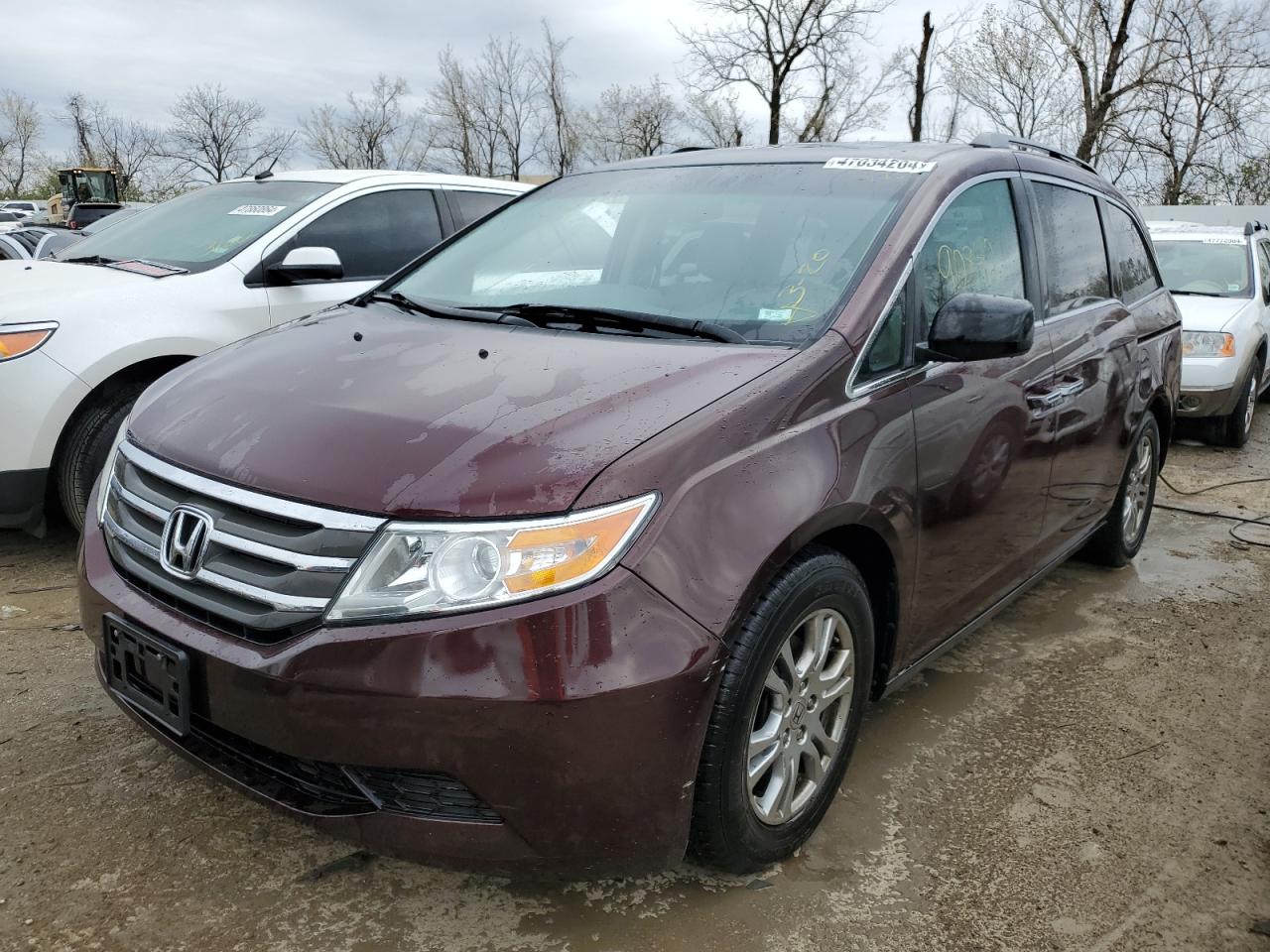 HONDA ODYSSEY 2013 5fnrl5h67db040362