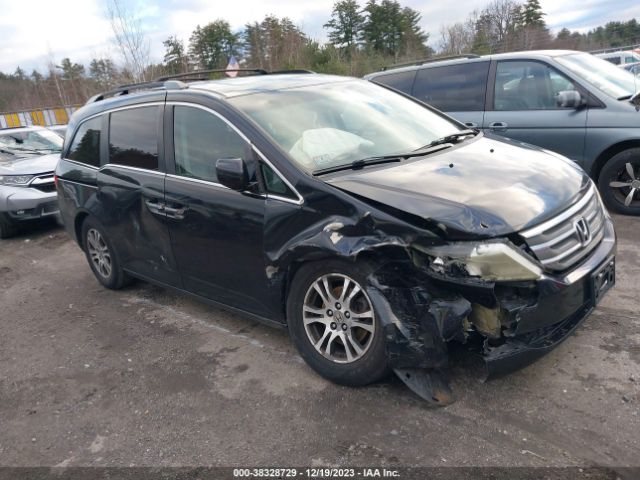 HONDA ODYSSEY 2013 5fnrl5h68db005233