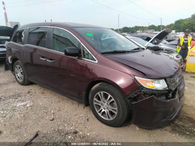 HONDA ODYSSEY 2013 5fnrl5h68db008018