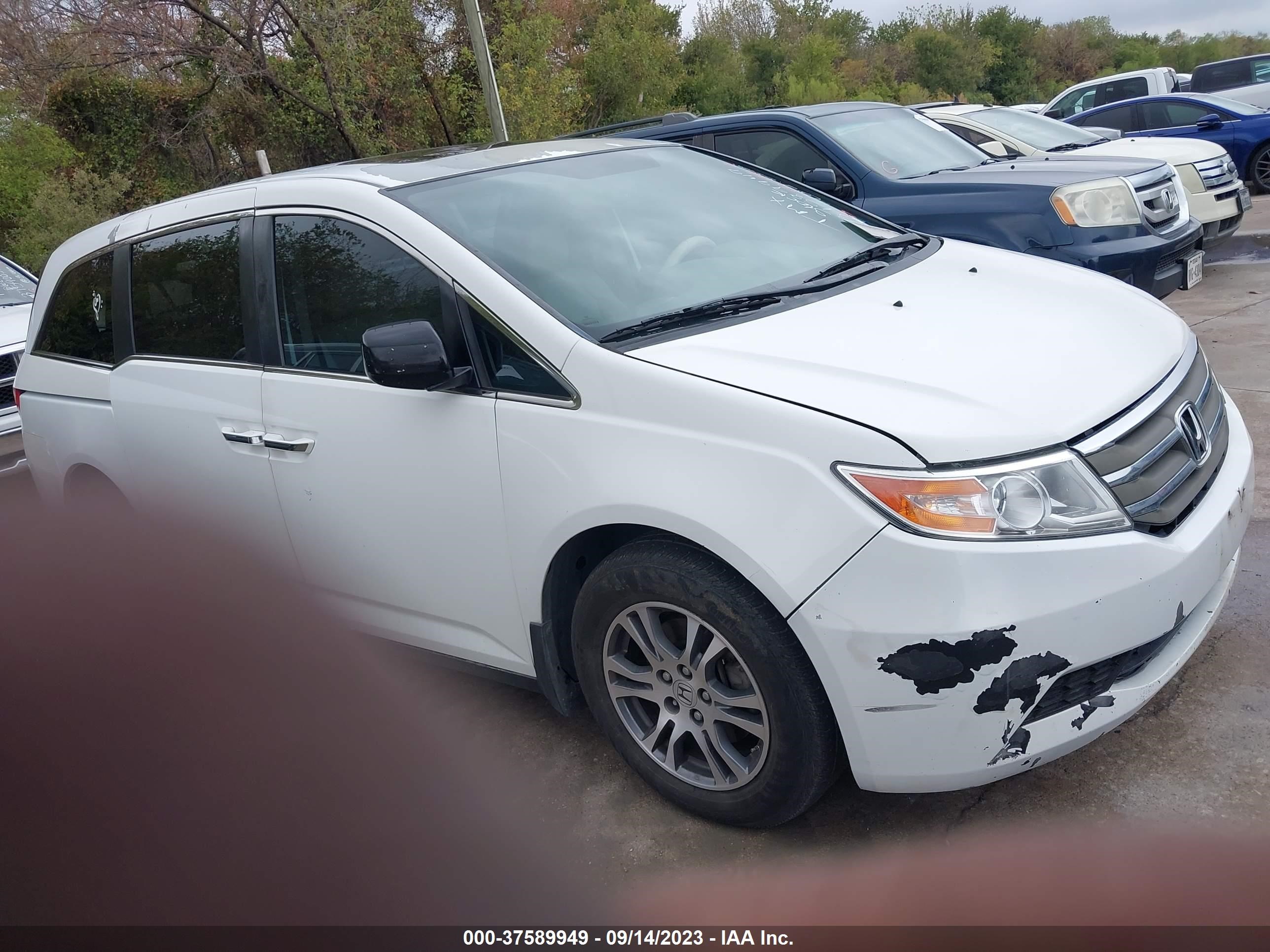 HONDA ODYSSEY 2013 5fnrl5h68db010013