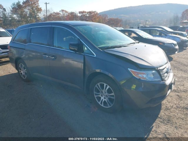 HONDA ODYSSEY 2013 5fnrl5h68db049457