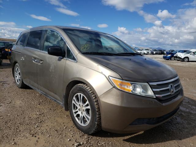 HONDA ODYSSEY 2013 5fnrl5h68db049880