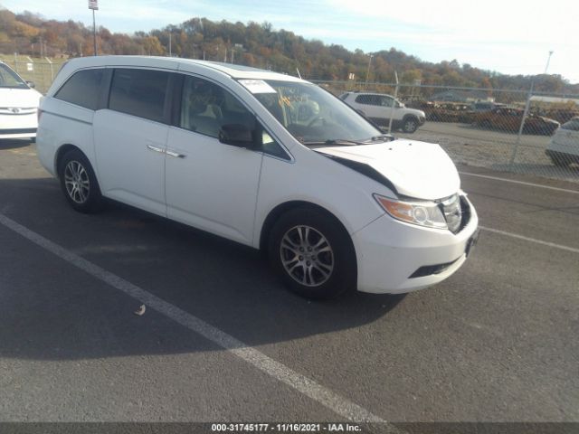 HONDA ODYSSEY 2011 5fnrl5h69bb002497