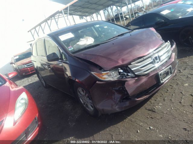 HONDA ODYSSEY 2011 5fnrl5h69bb094646