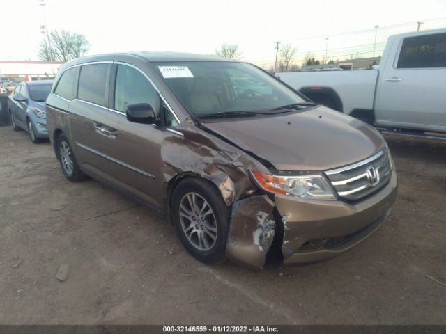 HONDA ODYSSEY 2013 5fnrl5h69db067644