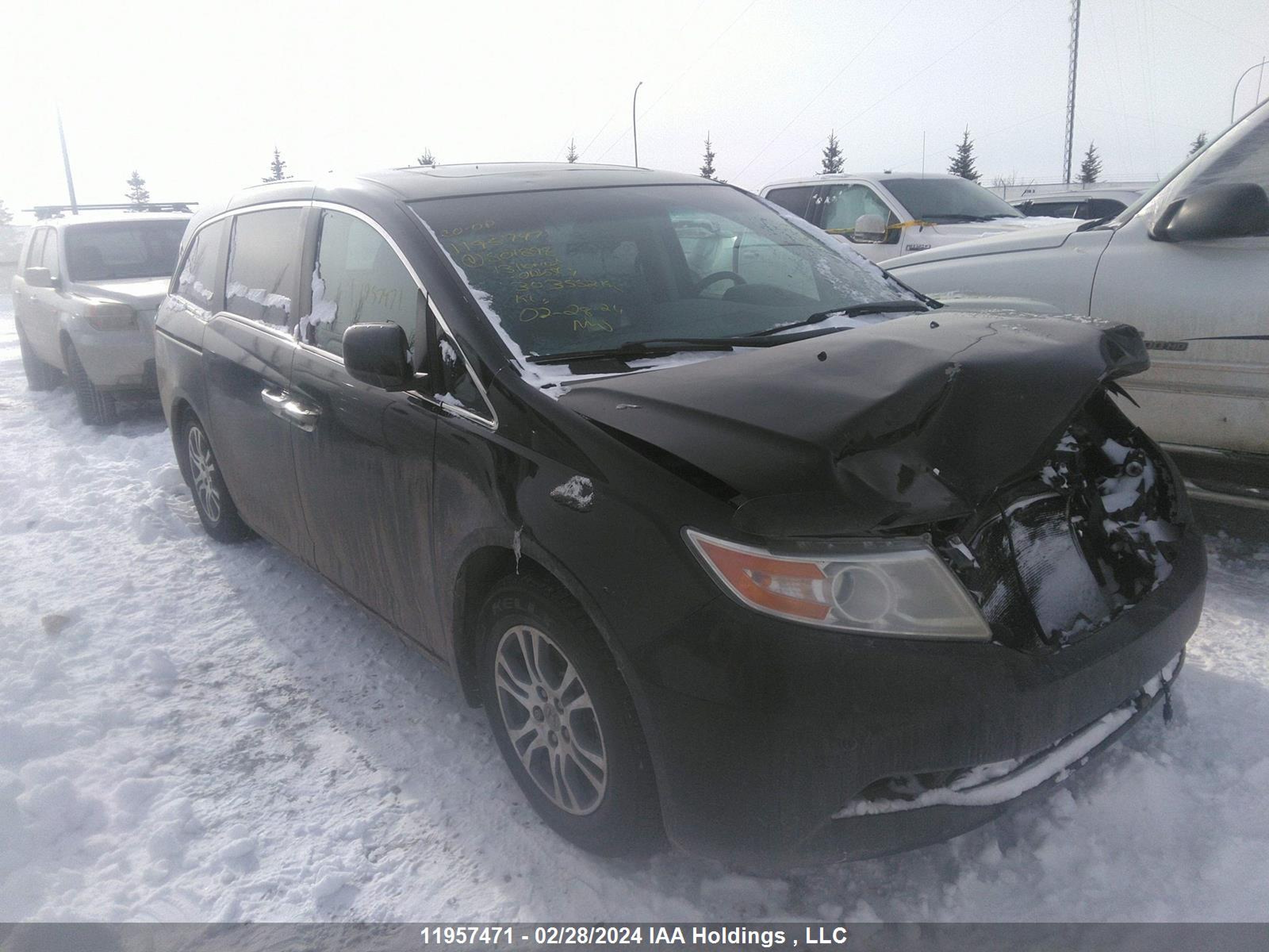 HONDA ODYSSEY 2013 5fnrl5h69db501898