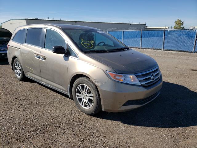 HONDA ODYSSEY EX 2013 5fnrl5h69db506728