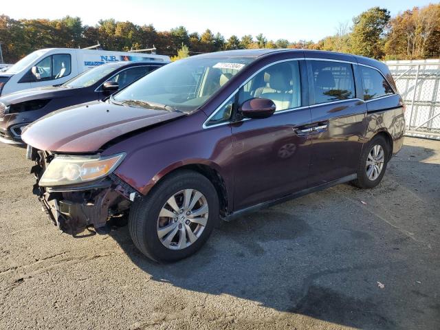 HONDA ODYSSEY EX 2014 5fnrl5h69eb004304