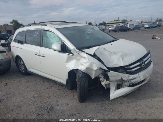 HONDA ODYSSEY 2015 5fnrl5h69fb031231