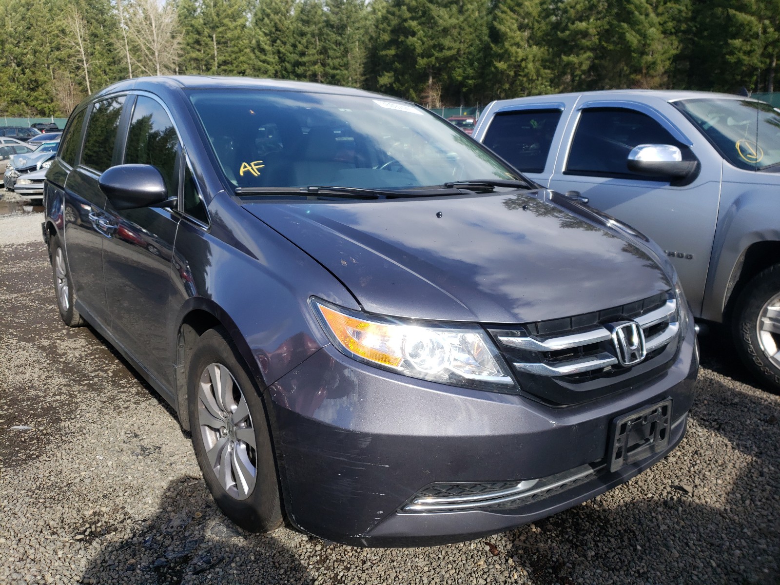 HONDA ODYSSEY EX 2016 5fnrl5h69gb001258