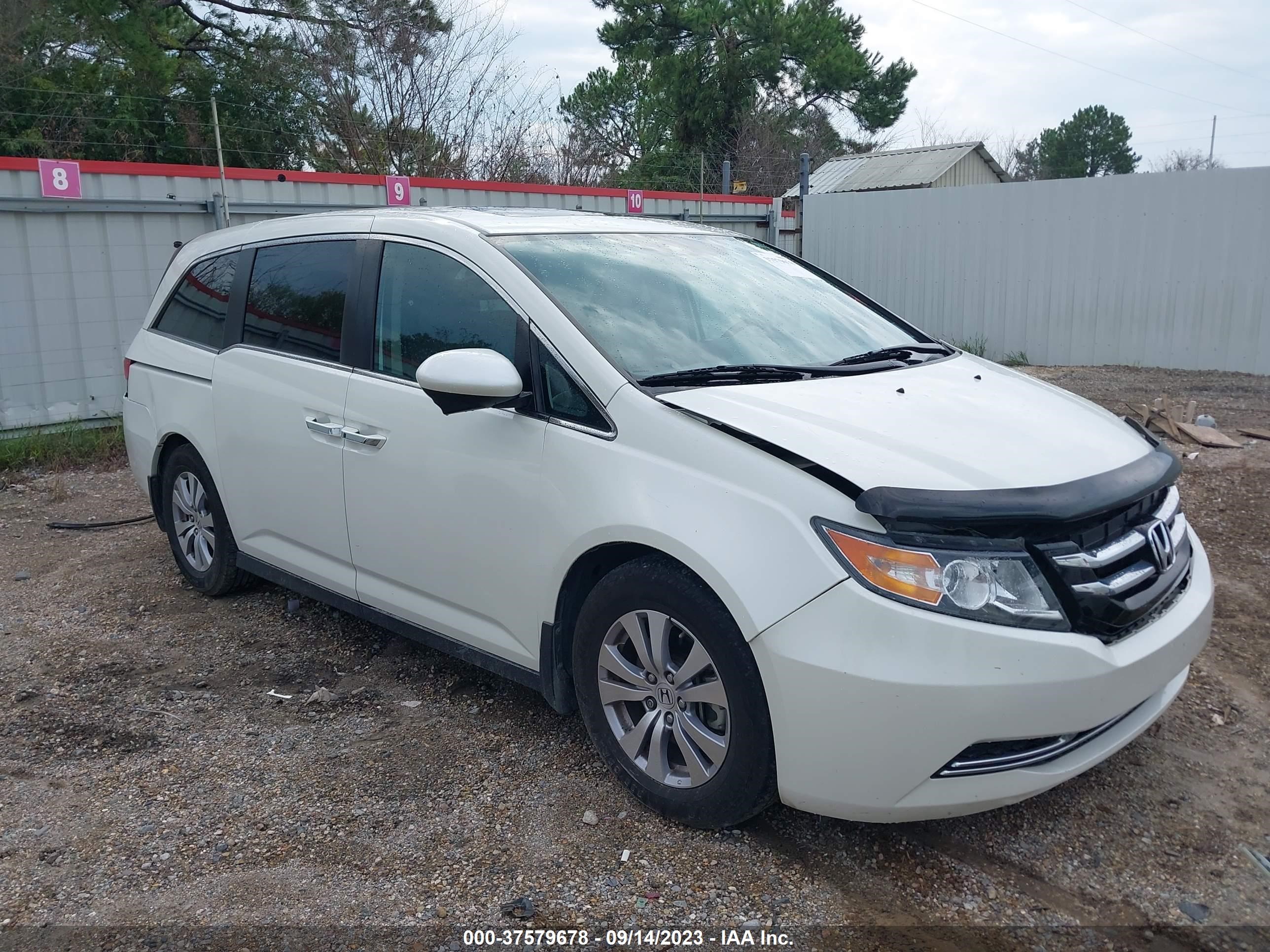 HONDA ODYSSEY 2016 5fnrl5h69gb030405