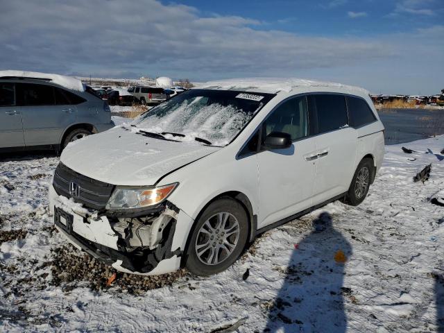 HONDA ODYSSEY EX 2011 5fnrl5h6xbb008406