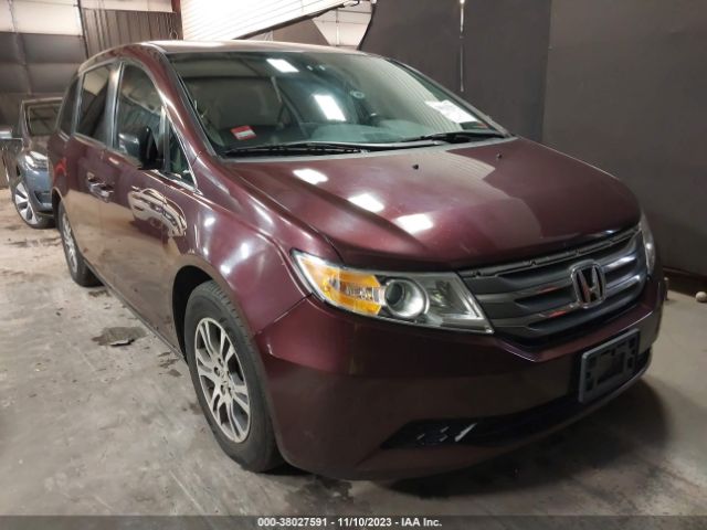 HONDA ODYSSEY 2013 5fnrl5h6xdb054059