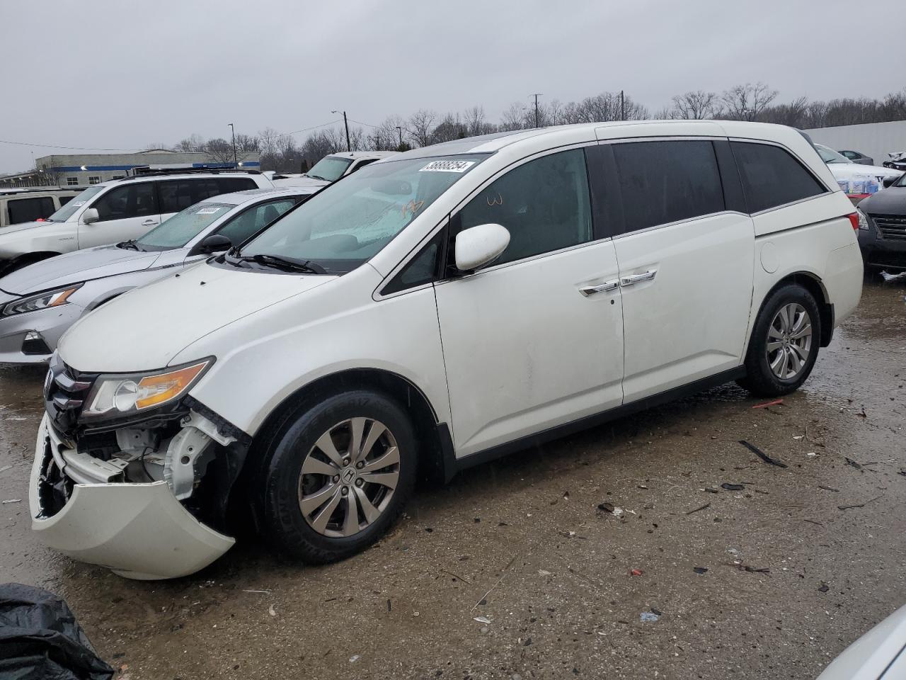 HONDA ODYSSEY 2014 5fnrl5h6xeb055617