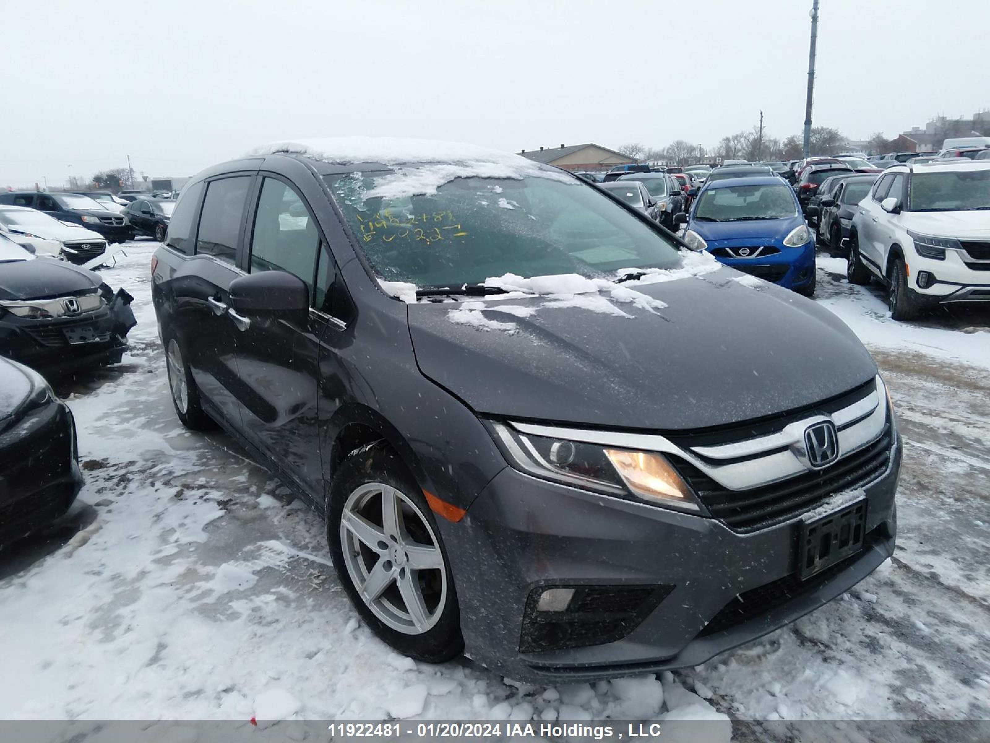 HONDA ODYSSEY 2019 5fnrl6h22kb509227