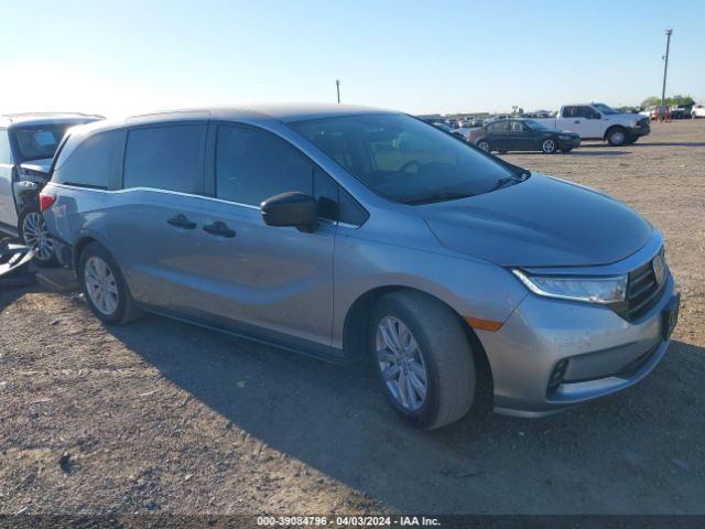 HONDA ODYSSEY 2021 5fnrl6h23mb031063