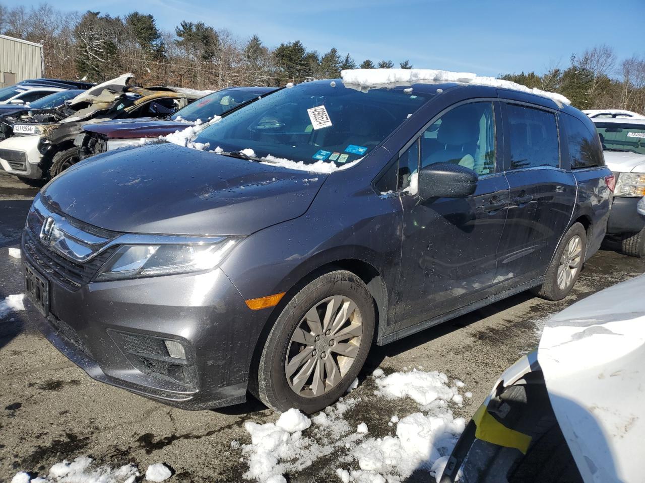 HONDA ODYSSEY 2019 5fnrl6h28kb118552