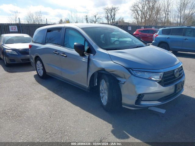 HONDA ODYSSEY 2021 5fnrl6h29mb043069