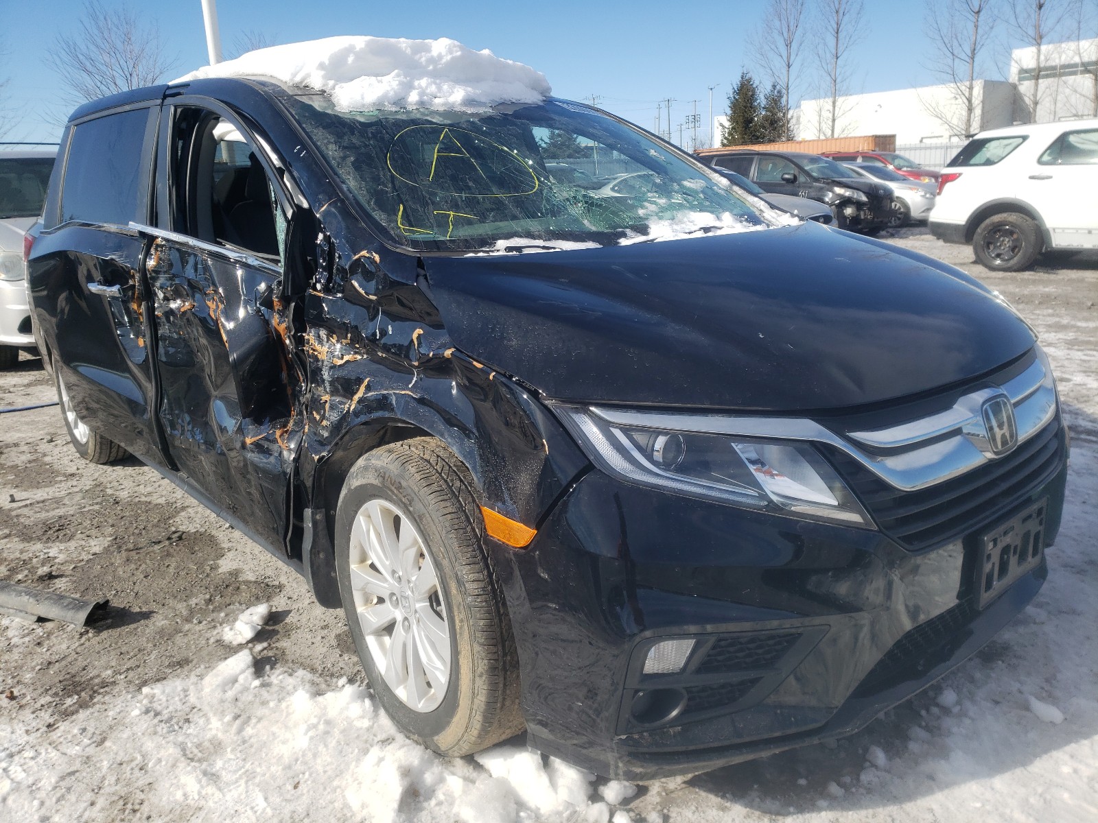 HONDA ODYSSEY LX 2019 5fnrl6h2xkb513462