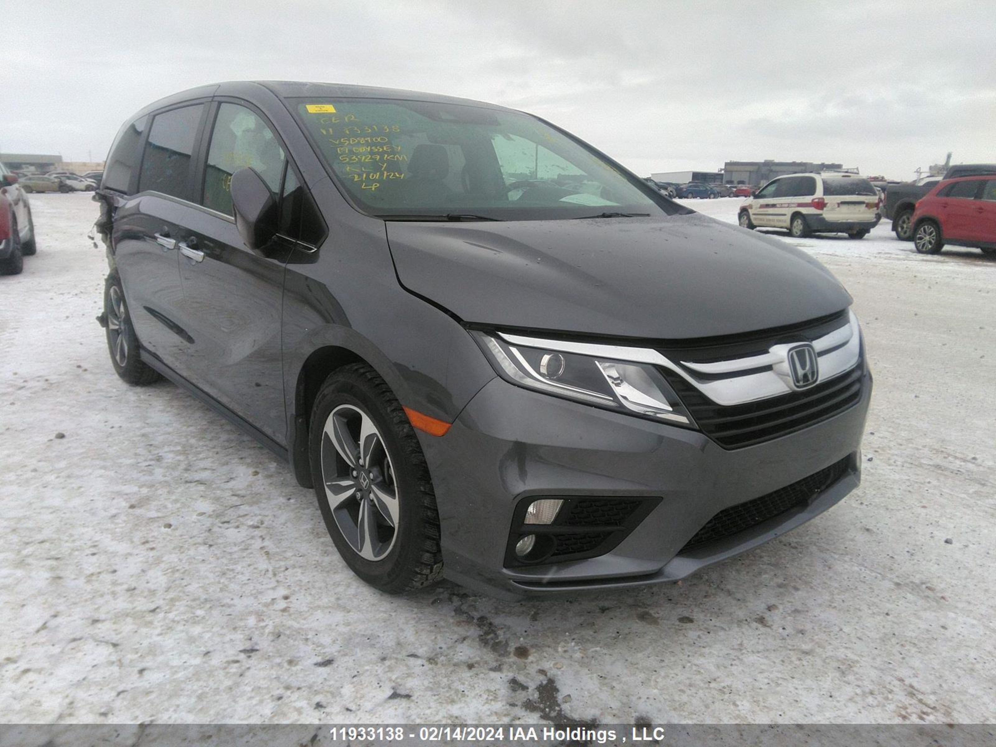 HONDA ODYSSEY 2019 5fnrl6h43kb508900