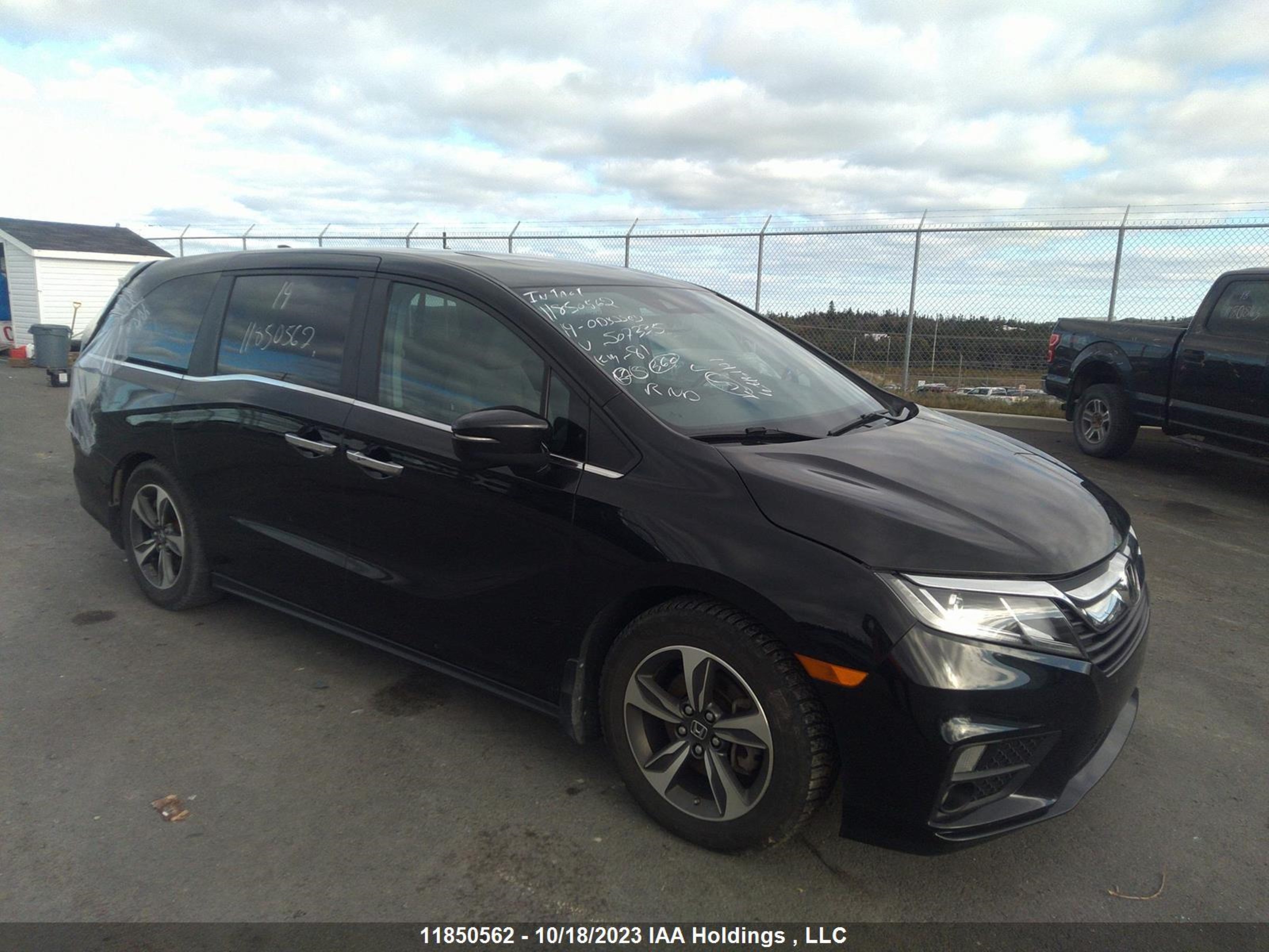 HONDA ODYSSEY 2019 5fnrl6h44kb507335