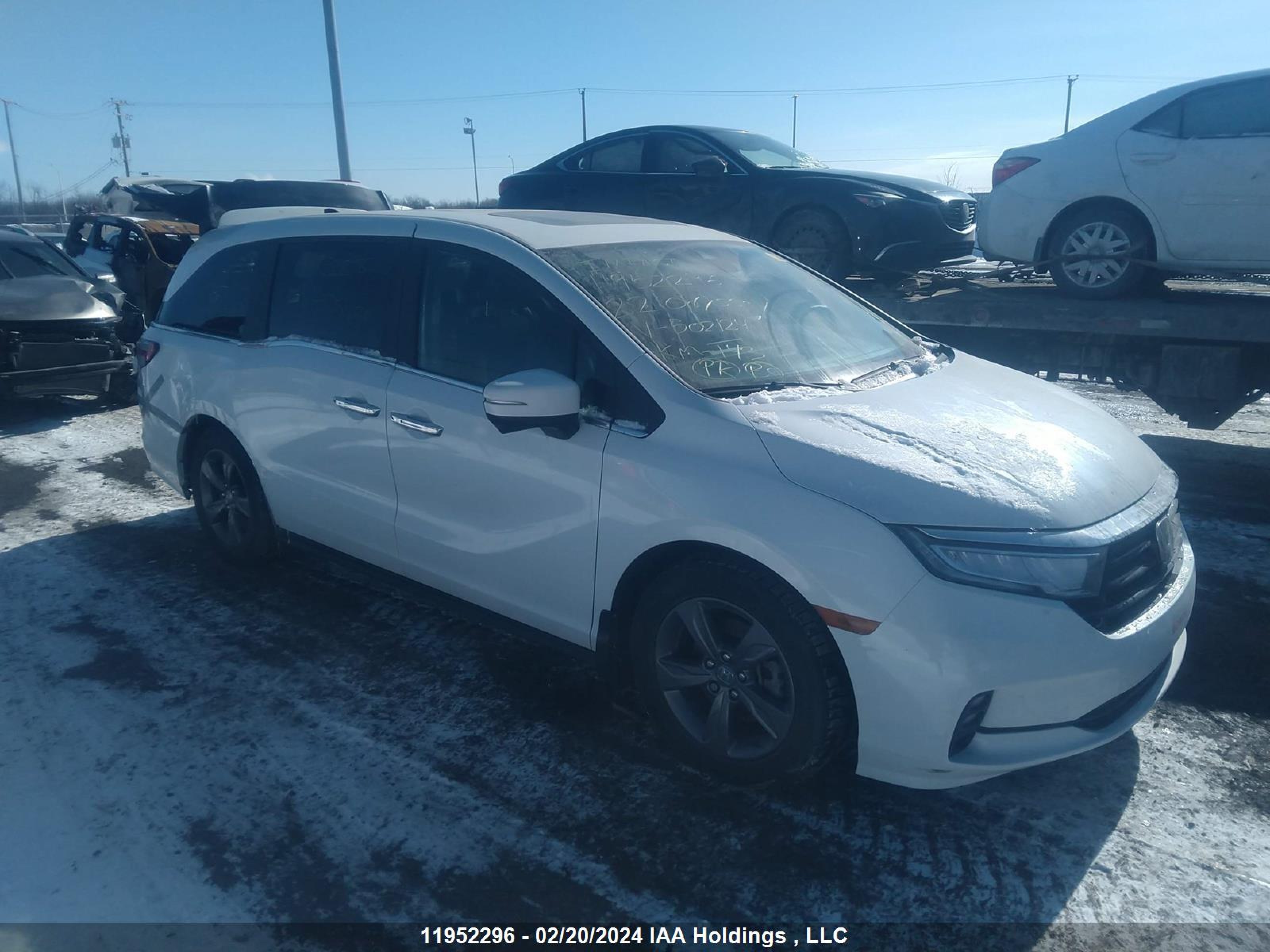 HONDA ODYSSEY 2022 5fnrl6h44nb502124