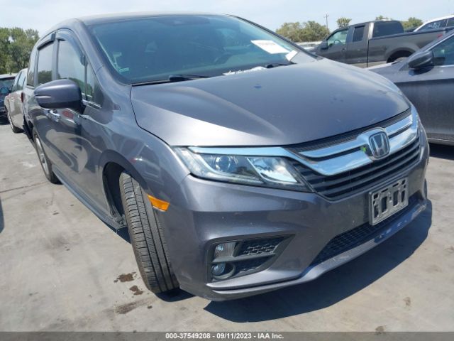 HONDA ODYSSEY 2019 5fnrl6h50kb038365