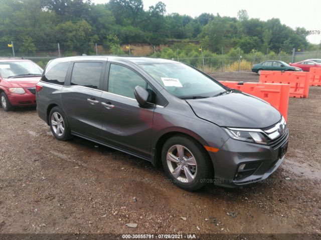 HONDA ODYSSEY 2019 5fnrl6h50kb057224