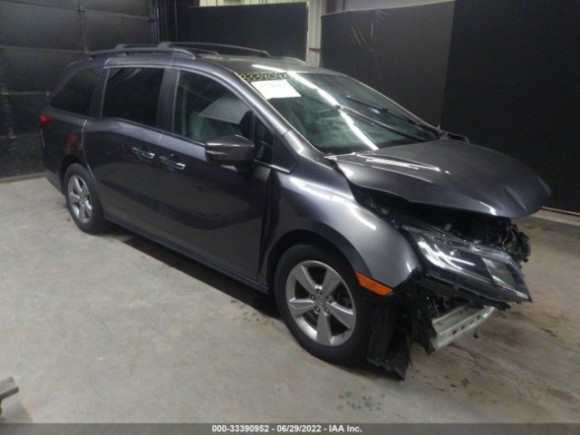 HONDA ODYSSEY 2019 5fnrl6h50kb071544