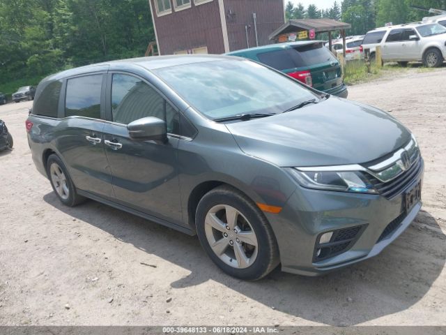 HONDA ODYSSEY 2019 5fnrl6h50kb089154