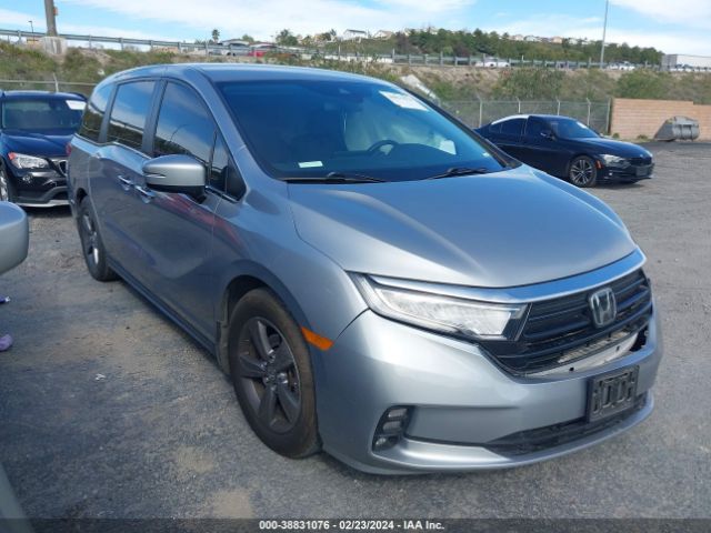 HONDA ODYSSEY 2021 5fnrl6h50mb014487