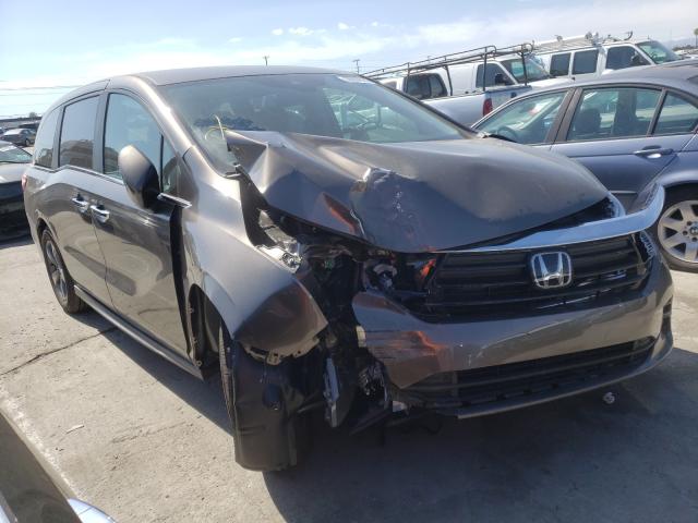 HONDA ODYSSEY EX 2021 5fnrl6h50mb019169