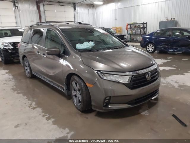 HONDA ODYSSEY 2021 5fnrl6h50mb031418