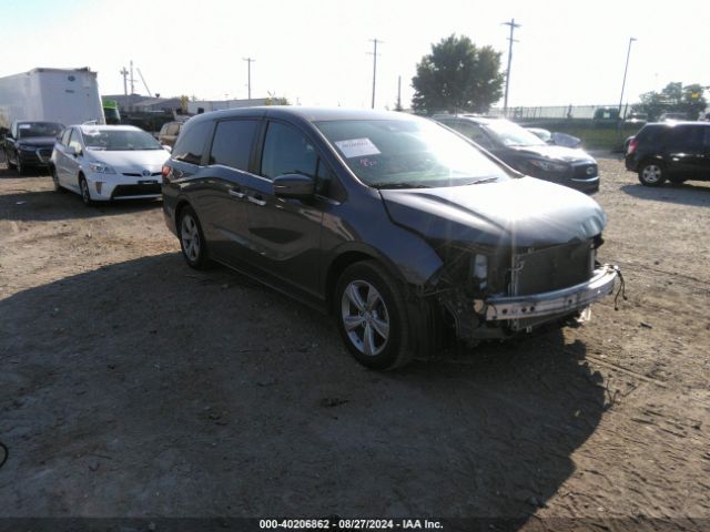 HONDA ODYSSEY 2018 5fnrl6h51jb077027