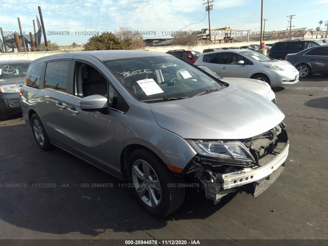 HONDA ODYSSEY 2019 5fnrl6h51kb030436