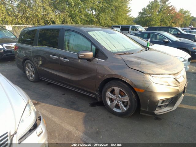 HONDA ODYSSEY 2019 5fnrl6h51kb046281