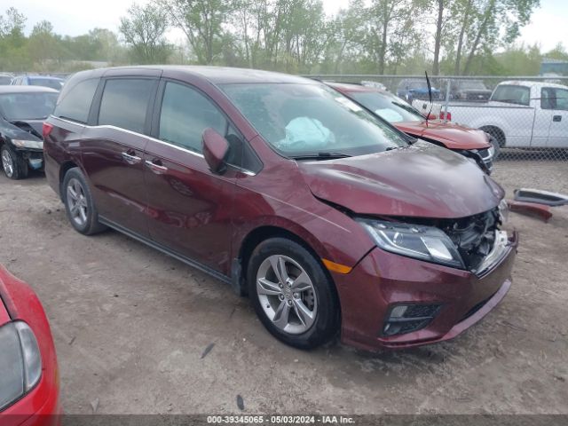 HONDA ODYSSEY 2019 5fnrl6h51kb046779