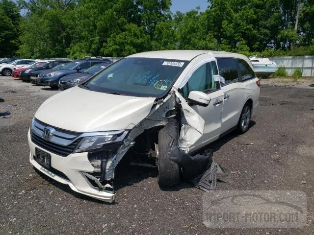 HONDA ODYSSEY 2019 5fnrl6h51kb053828