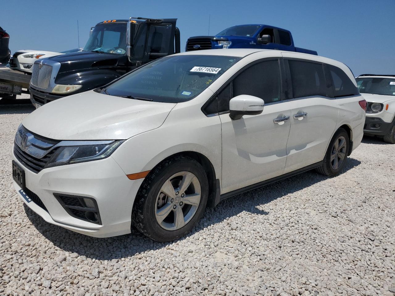 HONDA ODYSSEY 2019 5fnrl6h51kb096405