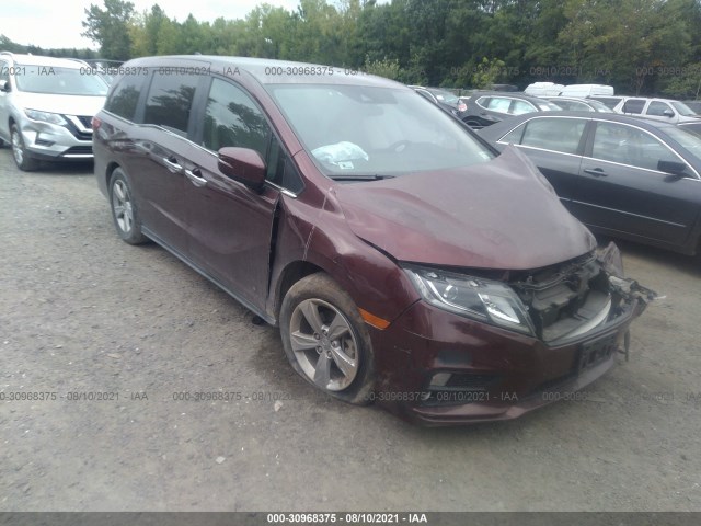 HONDA ODYSSEY 2019 5fnrl6h51kb116362