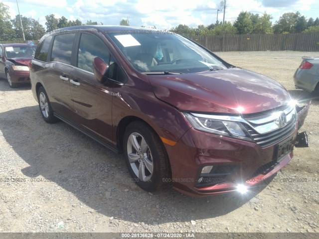 HONDA ODYSSEY 2019 5fnrl6h51kb138362